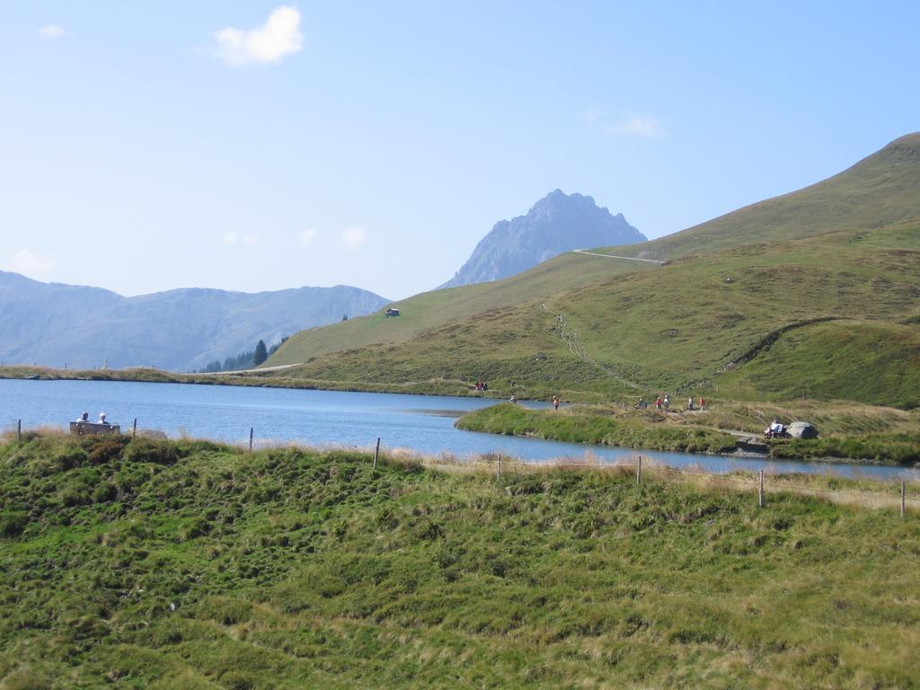 Hohe Tauernblick Appartamento Mittersill